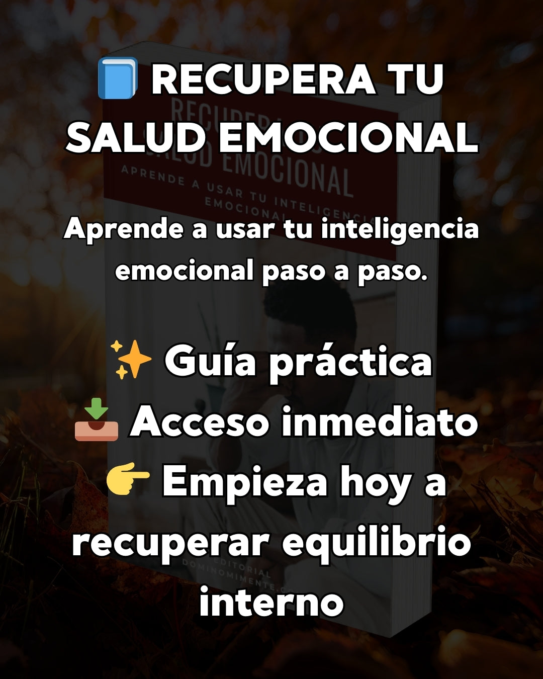 Aprende a Usar tu Inteligencia Emocional para Vivir en Equilibrio