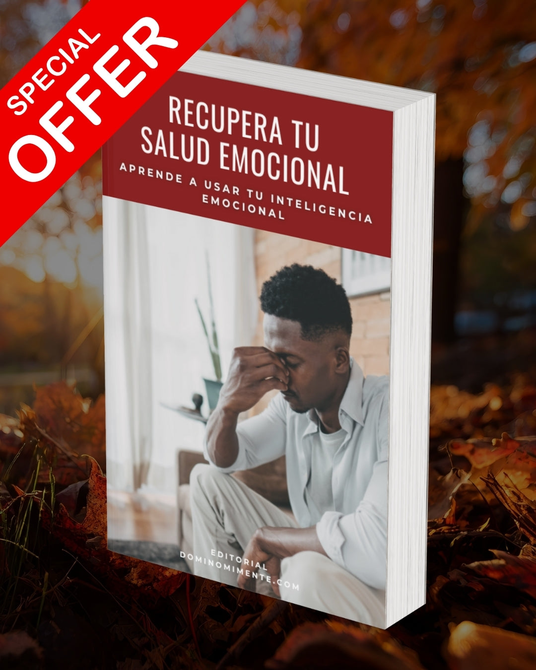 Aprende a Usar tu Inteligencia Emocional para Vivir en Equilibrio