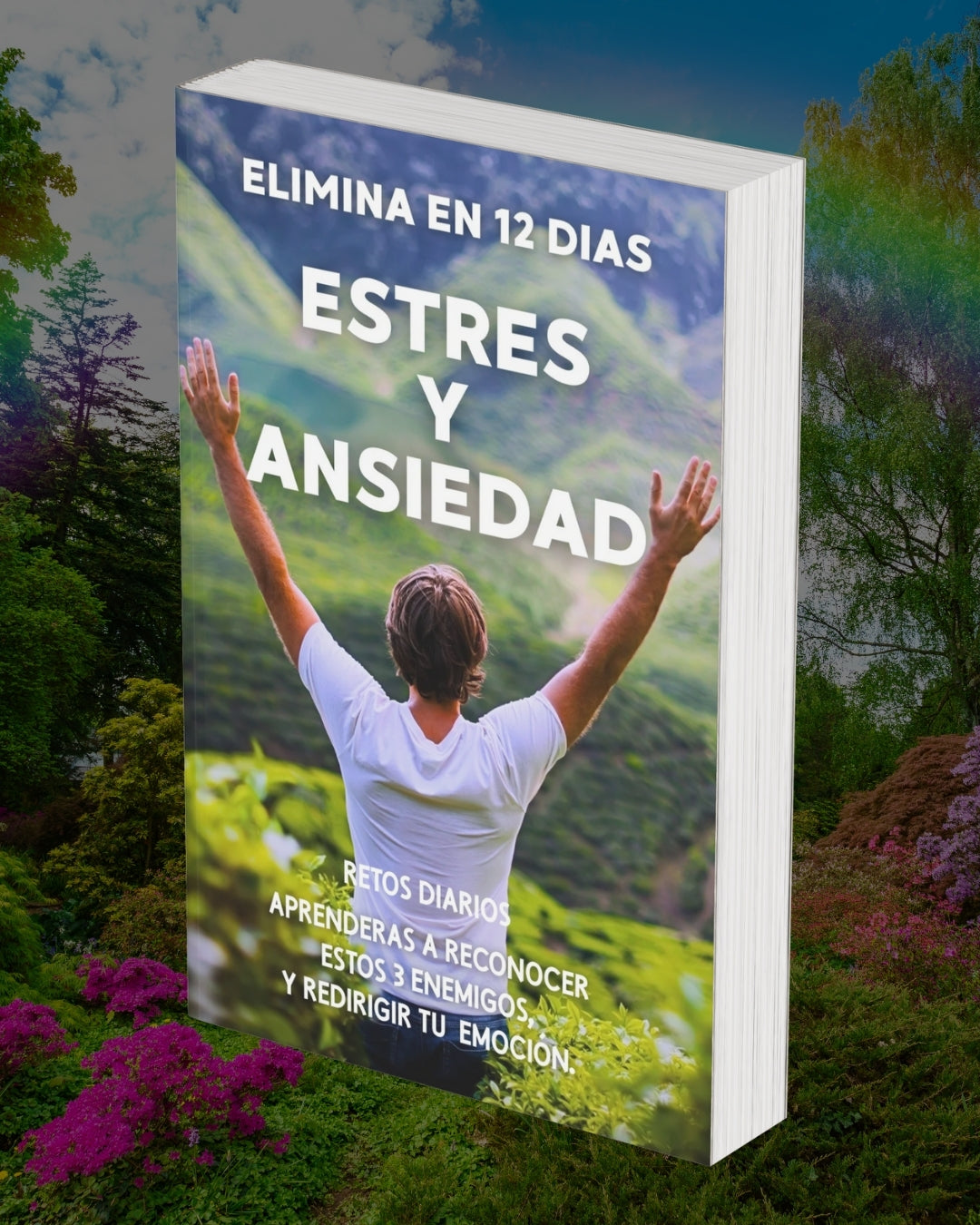 SISTEMA BIO-RESET 12: Programa una mente sin límites